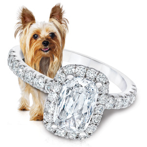 Yorki Maiden Lane Diamond Ring