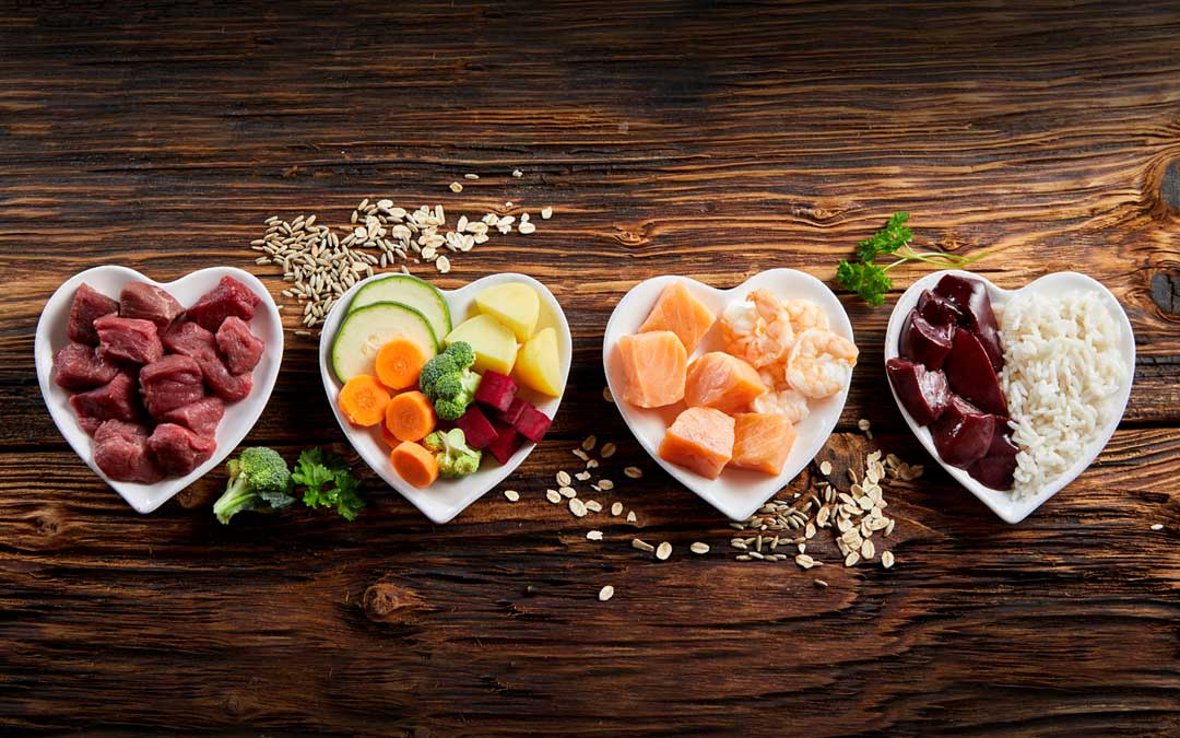 Dog food displayed in heart-shaped dishes